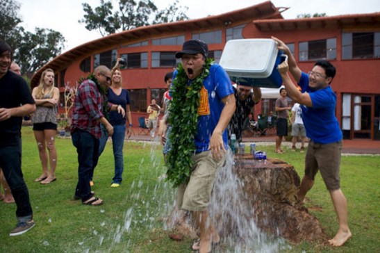 Pow Wow Hawaii: Luau